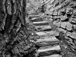 Rocky Pathway